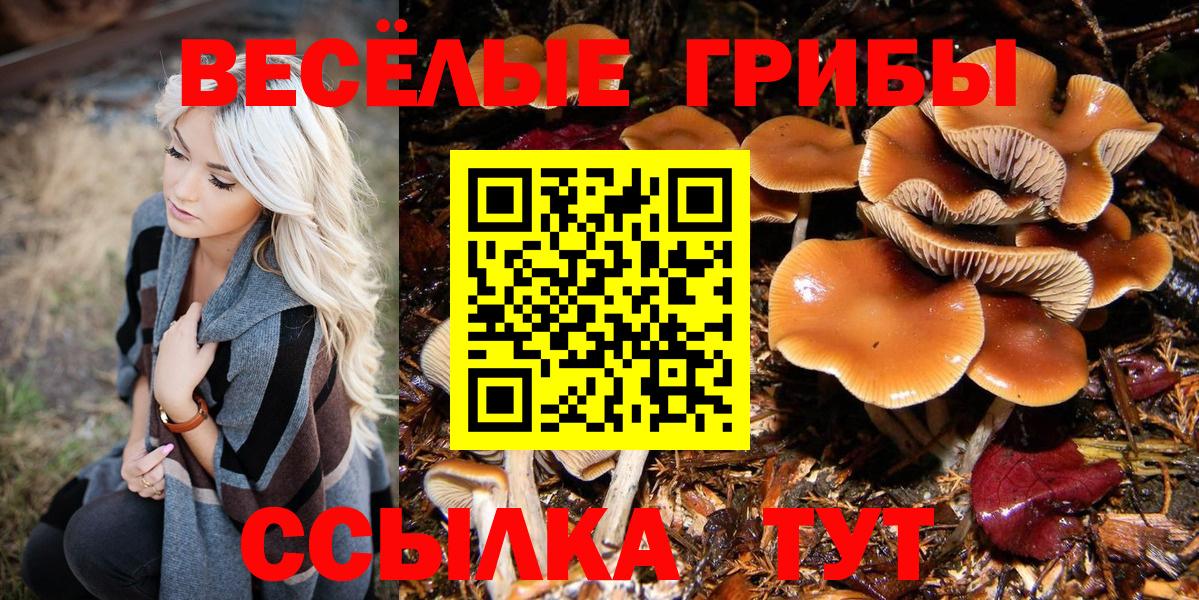 Азов  Псилоцибиновые грибы мухоморы  Галлюциногенные грибы ЛСД  Вход с VPN 