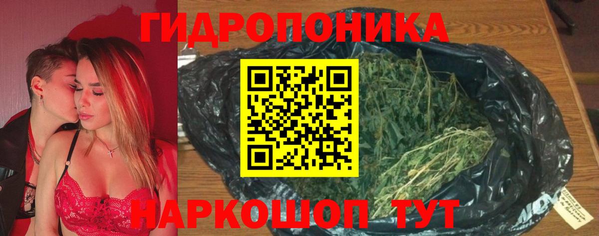 Конопля AK-47  Бошки Шишки конопля  Вход с VPN  Конопля план  Азов 